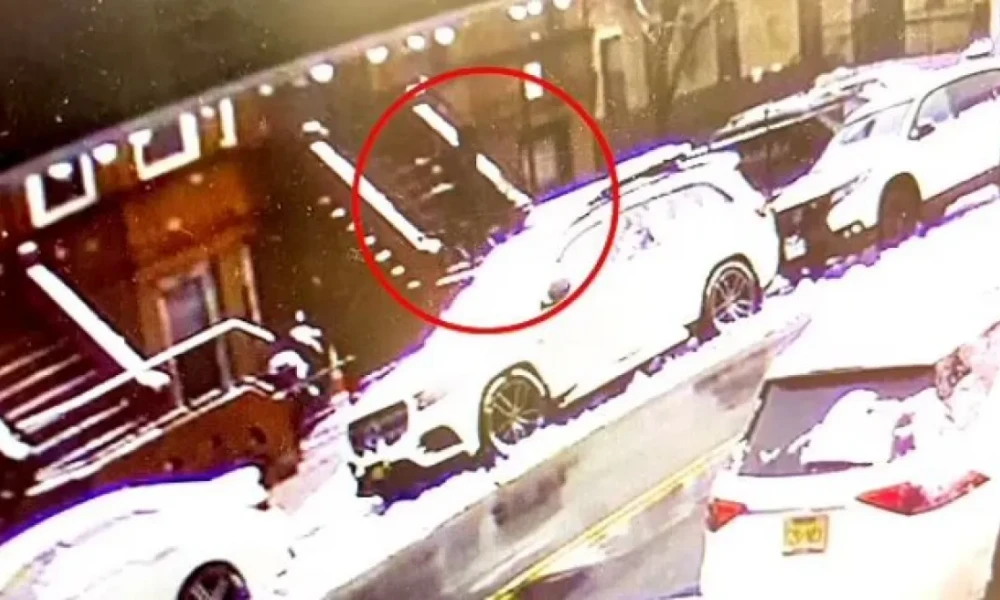 Σοκ στη Νέα Υόρκη: 74χρονη βρήκε τραγικό τέλος εξαιτίας τούβλου που τη χτύπησε στο κεφάλι ενώ καθάριζε το χιόνι στην είσοδο του σπιτιού της (Βίντεο)